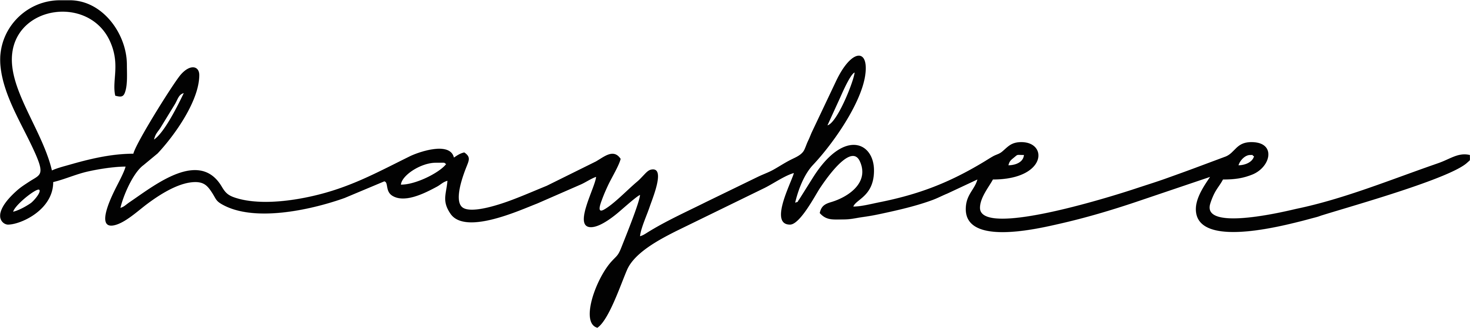 Shaybee Logo
